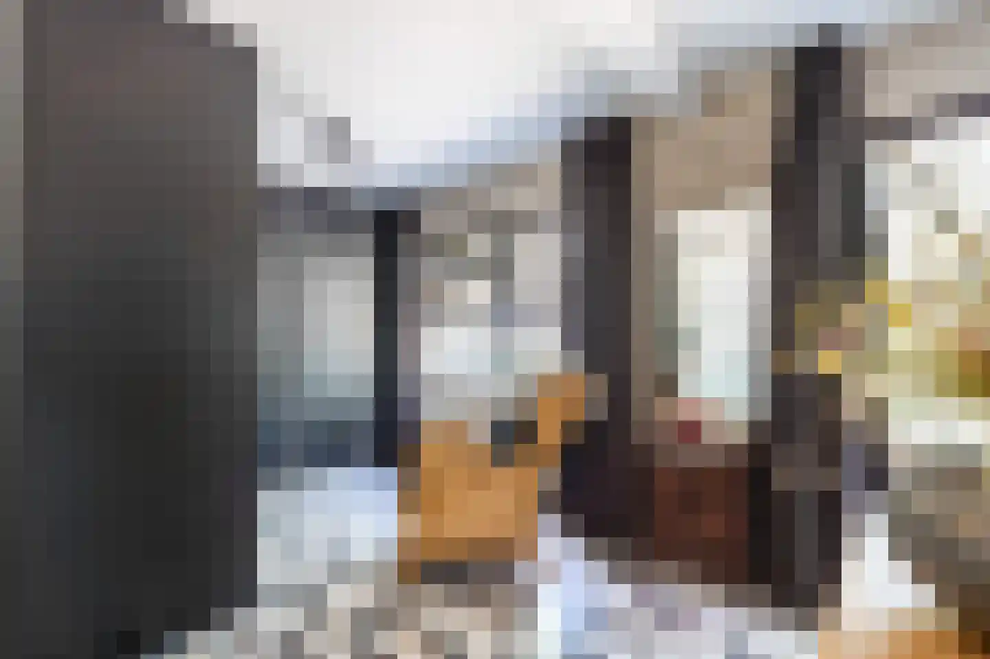 Wilhelminastraat 87 Dalfsen thumbnail 21