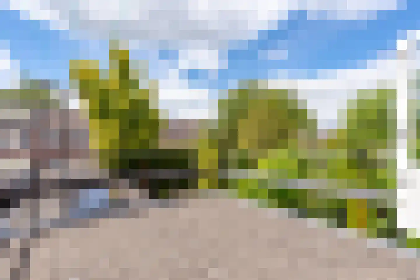 Wilhelminastraat 87 Dalfsen thumbnail 30