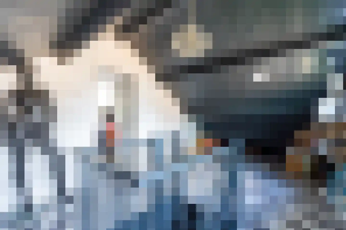 Wilhelminastraat 87 Dalfsen thumbnail 33