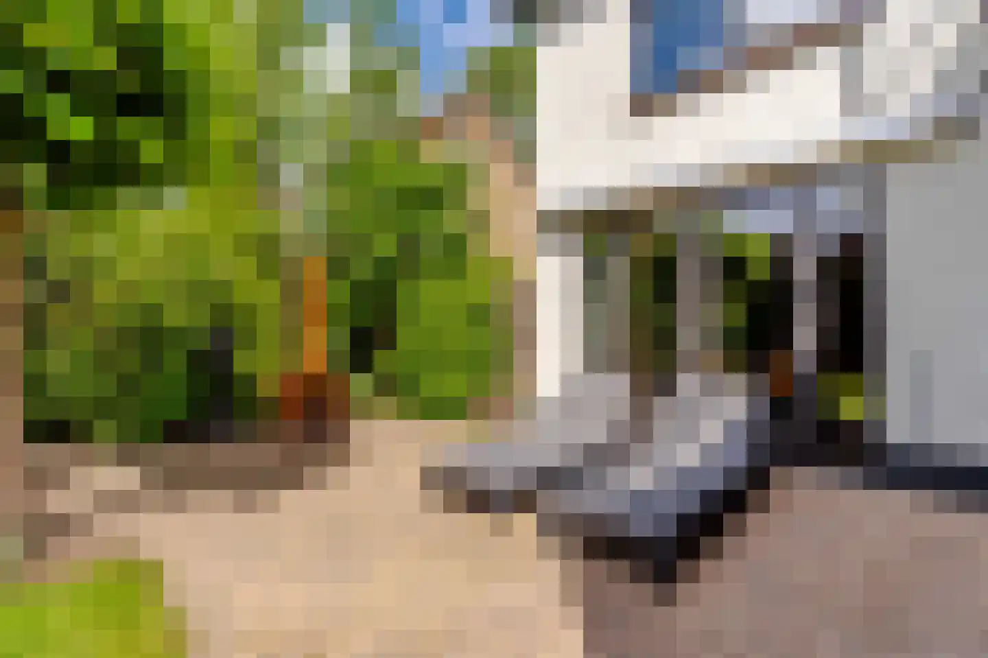 Wilhelminastraat 87 Dalfsen thumbnail 36