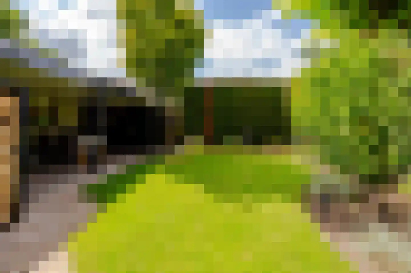 Wilhelminastraat 87 Dalfsen thumbnail 39
