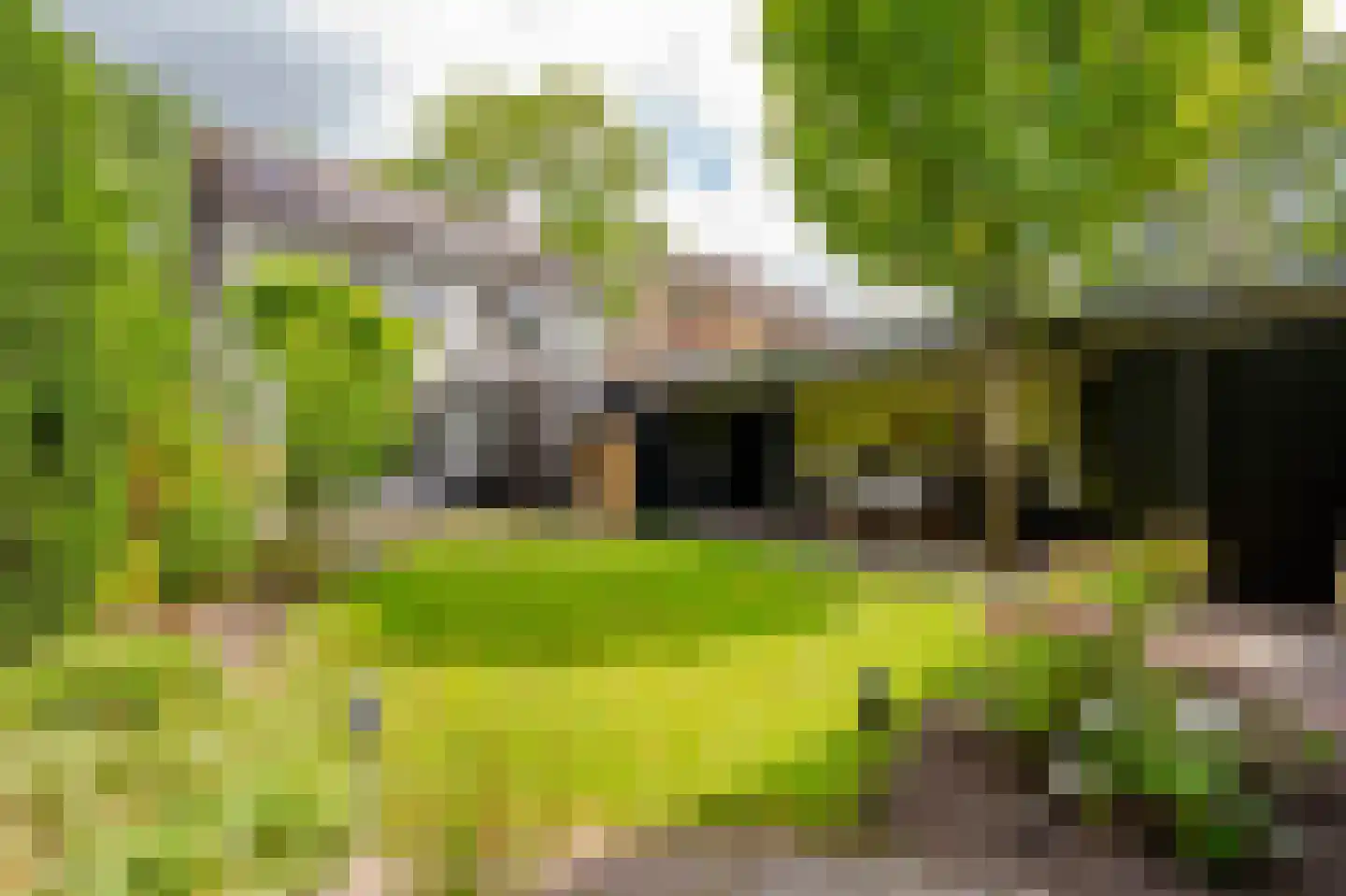 Wilhelminastraat 87 Dalfsen thumbnail 40