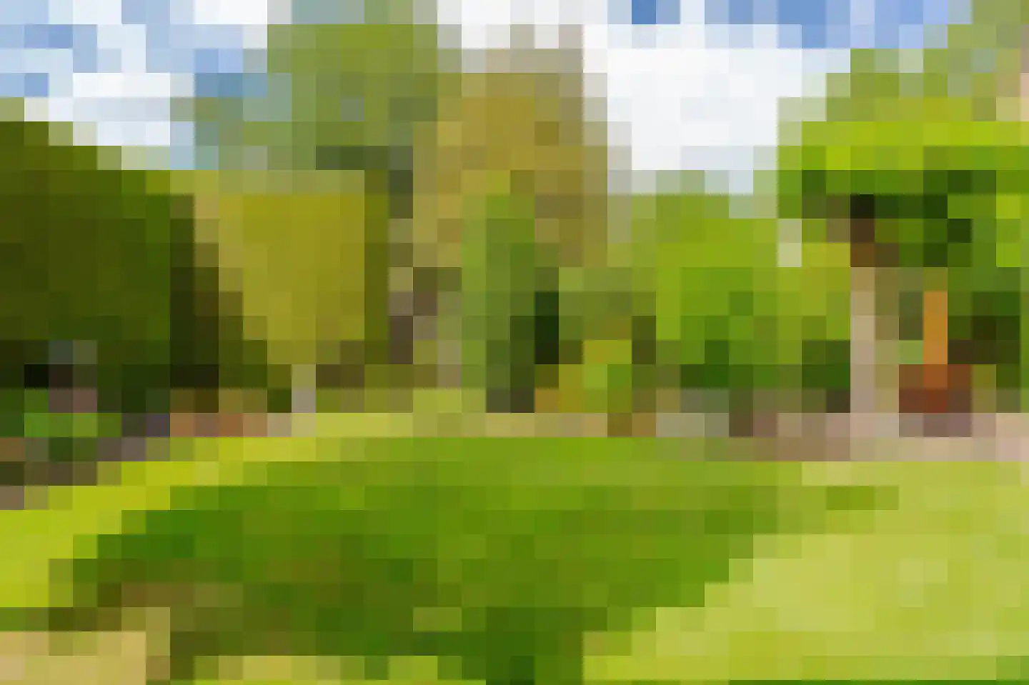 Wilhelminastraat 87 Dalfsen thumbnail 41