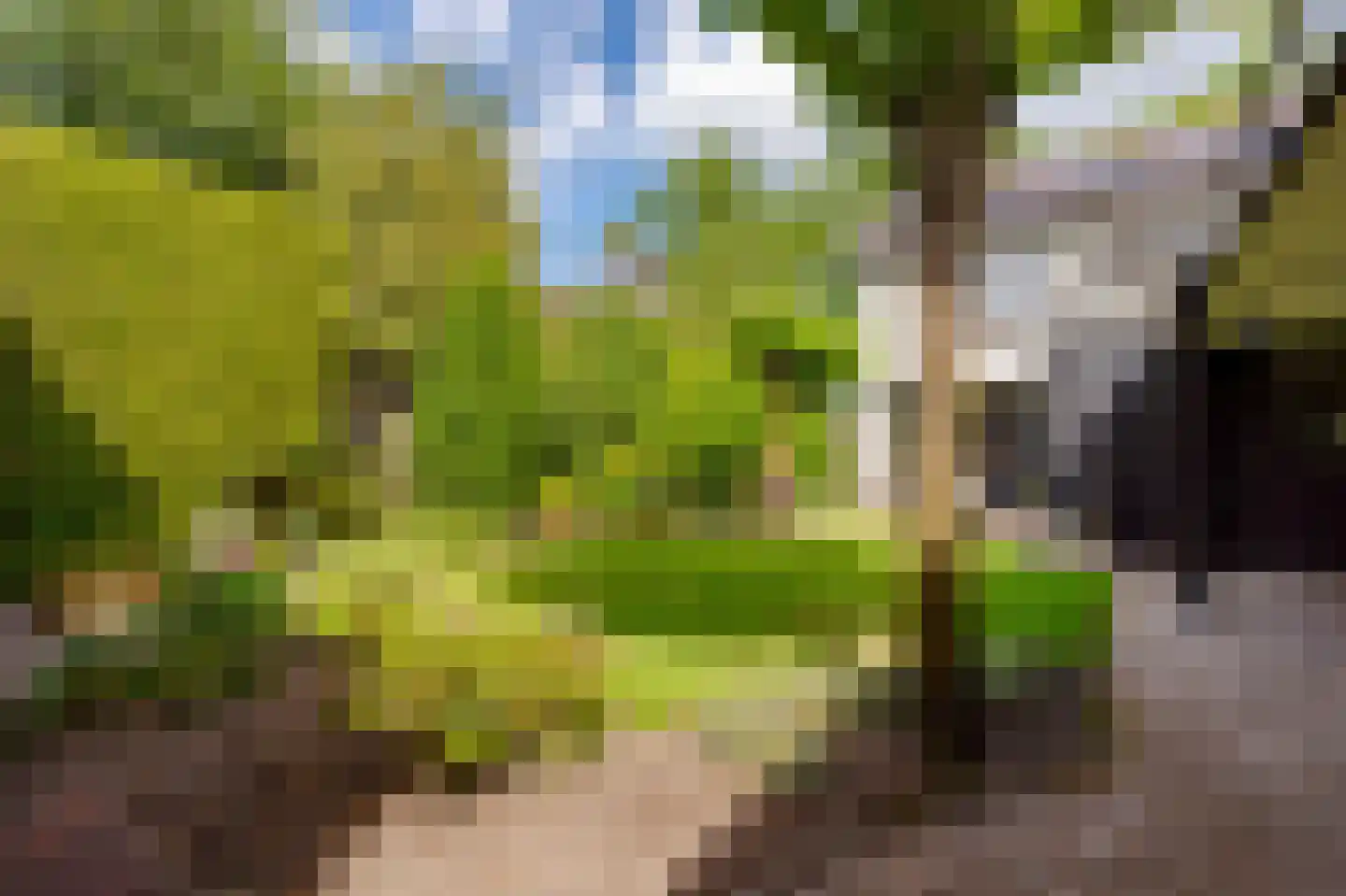 Wilhelminastraat 87 Dalfsen thumbnail 42