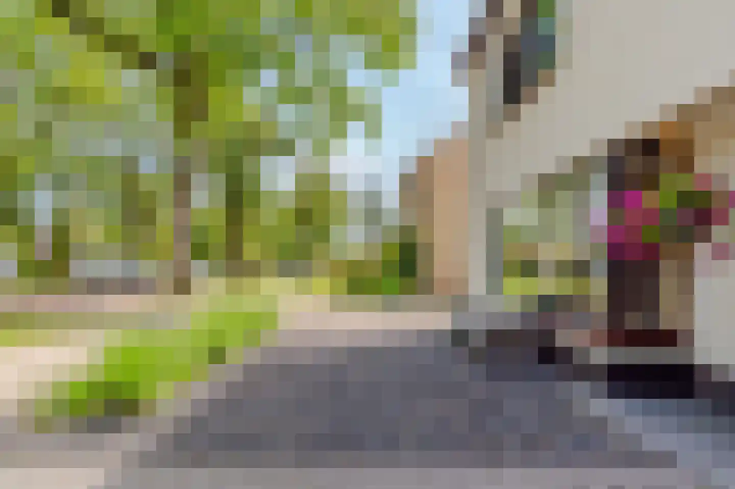 Wilhelminastraat 87 Dalfsen thumbnail 6