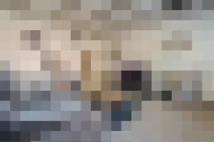 Wilhelminastraat 87 Sappemeer thumbnail 11