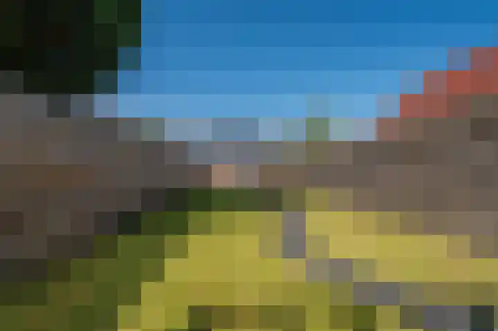 Wilhelminastraat 87 Sappemeer thumbnail 25