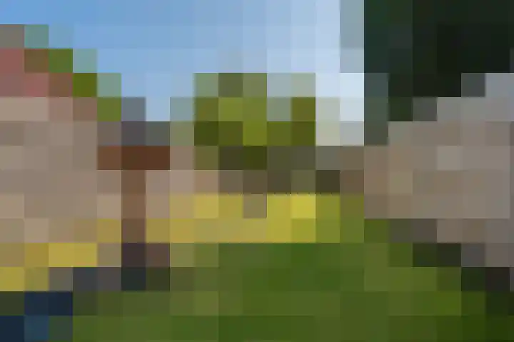 Wilhelminastraat 87 Sappemeer thumbnail 26