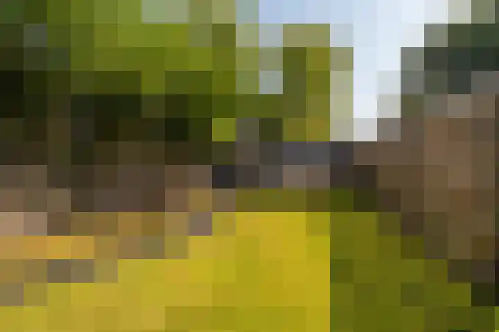 Wilhelminastraat 87 Sappemeer thumbnail 27