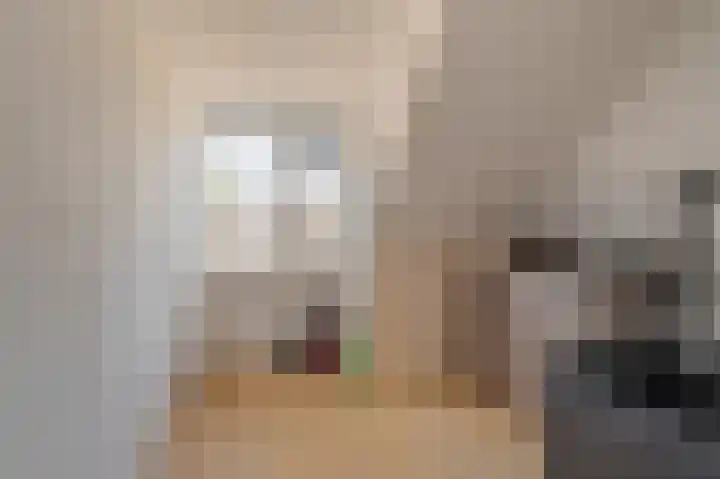 Wilhelminastraat 87 Sappemeer thumbnail 38
