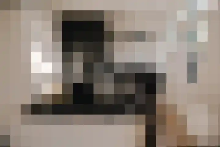 Wilhelminastraat 88 Berkel en Rodenrijs thumbnail 11