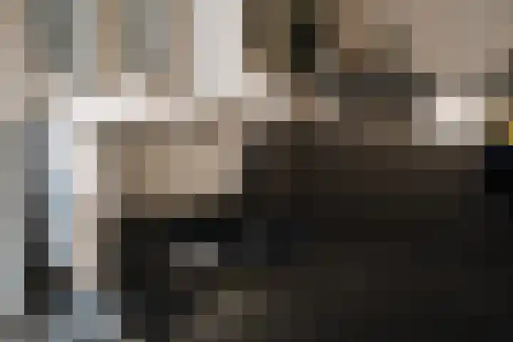 Wilhelminastraat 88 Berkel en Rodenrijs thumbnail 14