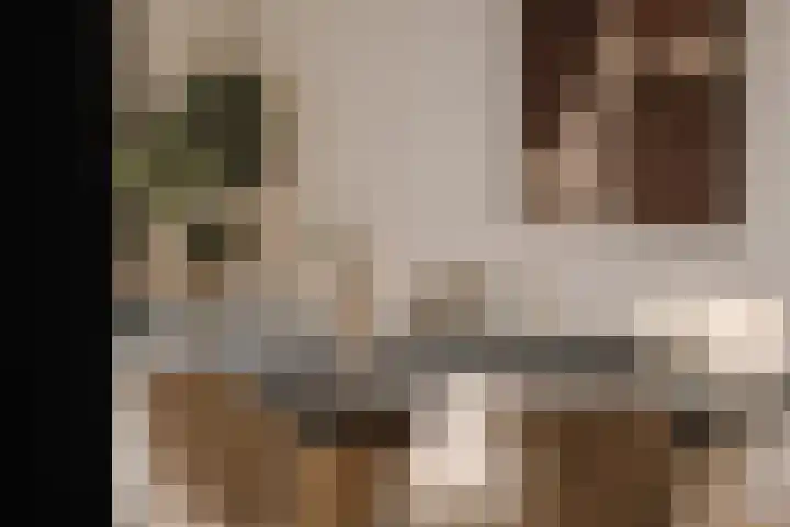 Wilhelminastraat 88 Berkel en Rodenrijs thumbnail 16