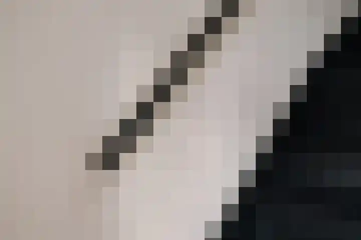 Wilhelminastraat 88 Berkel en Rodenrijs thumbnail 20