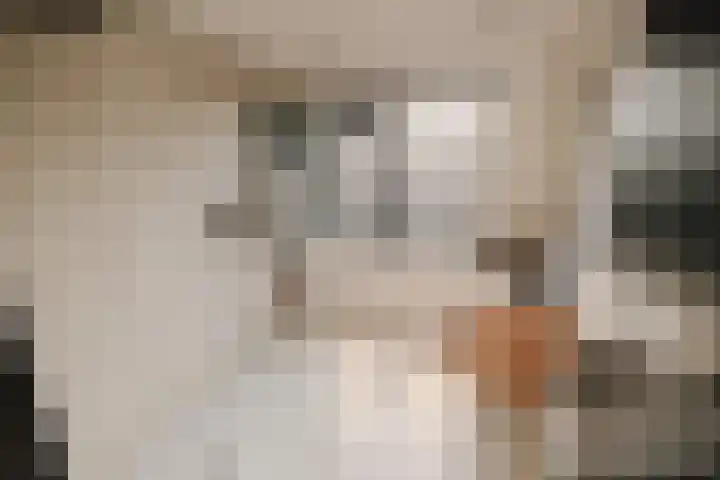 Wilhelminastraat 88 Berkel en Rodenrijs thumbnail 25