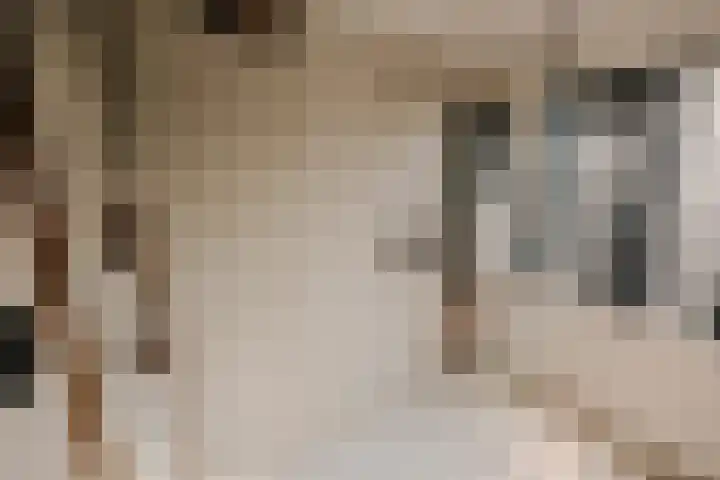 Wilhelminastraat 88 Berkel en Rodenrijs thumbnail 26