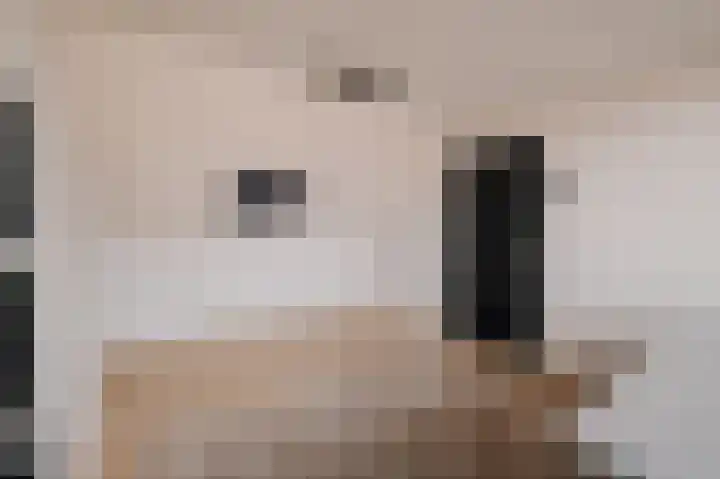 Wilhelminastraat 88 Berkel en Rodenrijs thumbnail 32