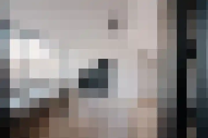 Wilhelminastraat 88 Berkel en Rodenrijs thumbnail 33