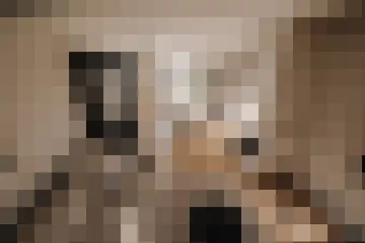 Wilhelminastraat 88 Berkel en Rodenrijs thumbnail 6