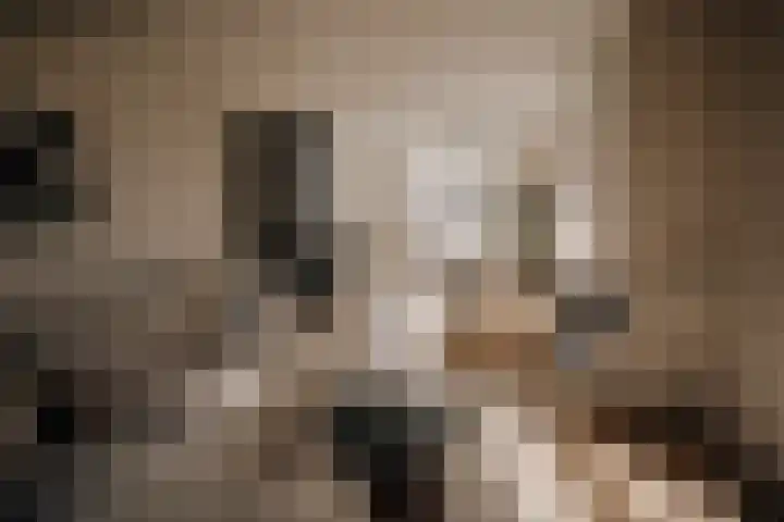 Wilhelminastraat 88 Berkel en Rodenrijs thumbnail 7