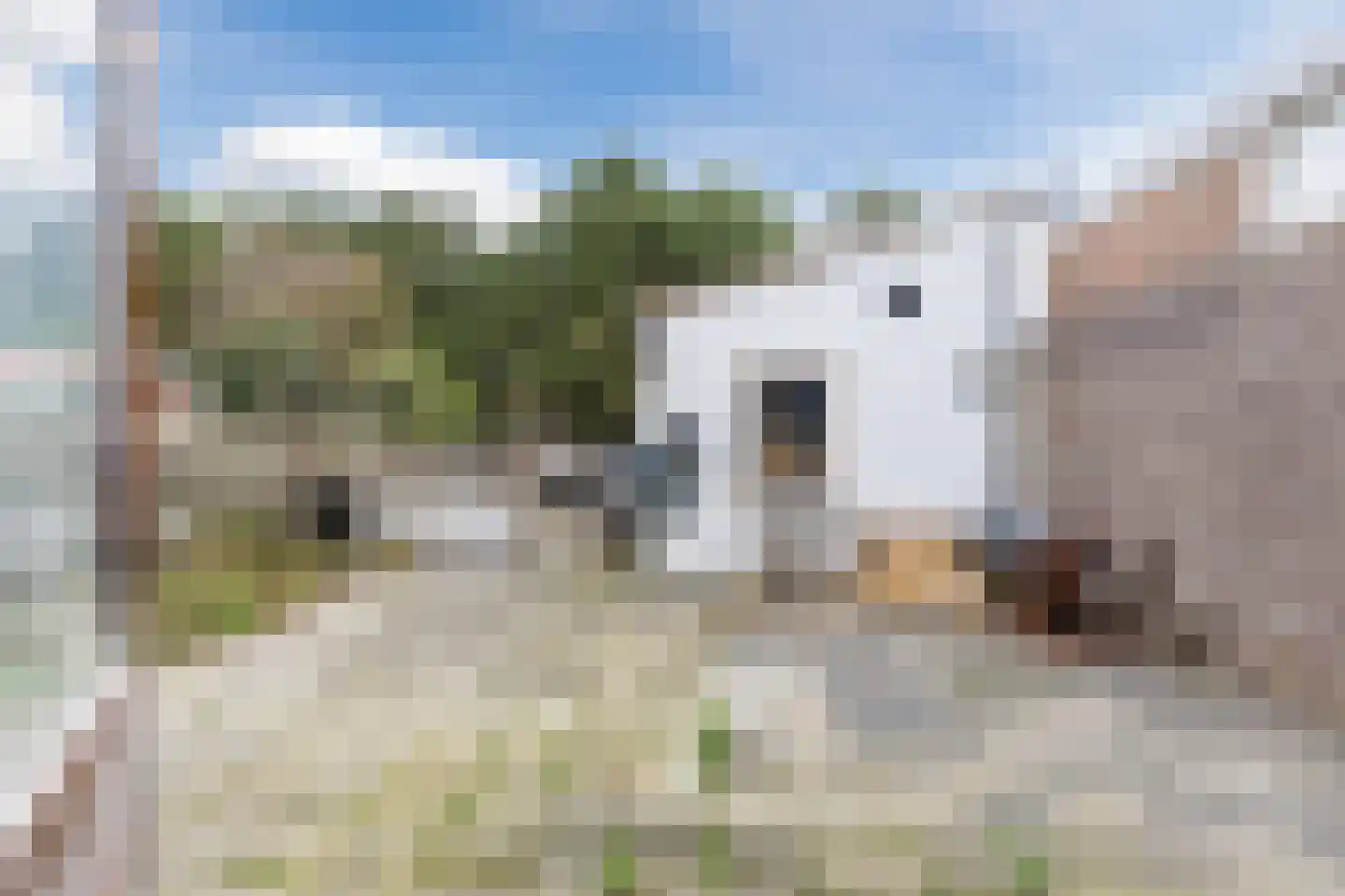 Wilhelminastraat 88 Egmond aan Zee thumbnail 36