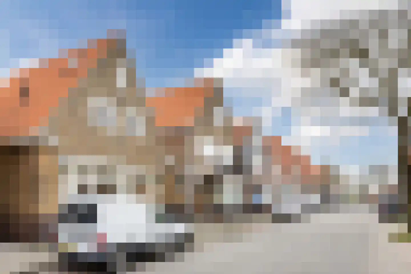 Wilhelminastraat 88 Egmond aan Zee thumbnail 39