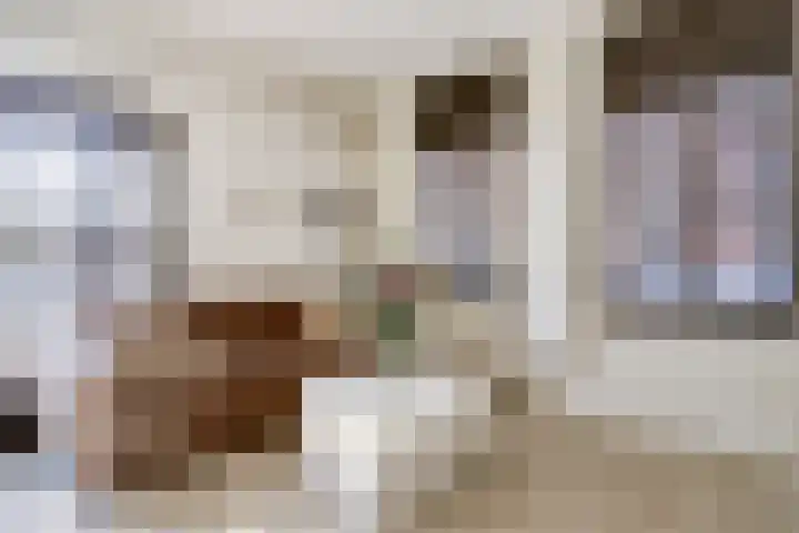 Wilhelminastraat 89 Krommenie thumbnail 12