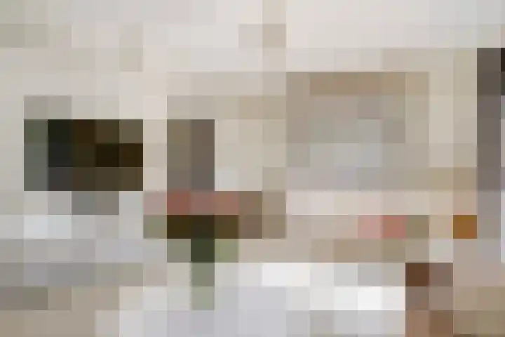 Wilhelminastraat 89 Krommenie thumbnail 13