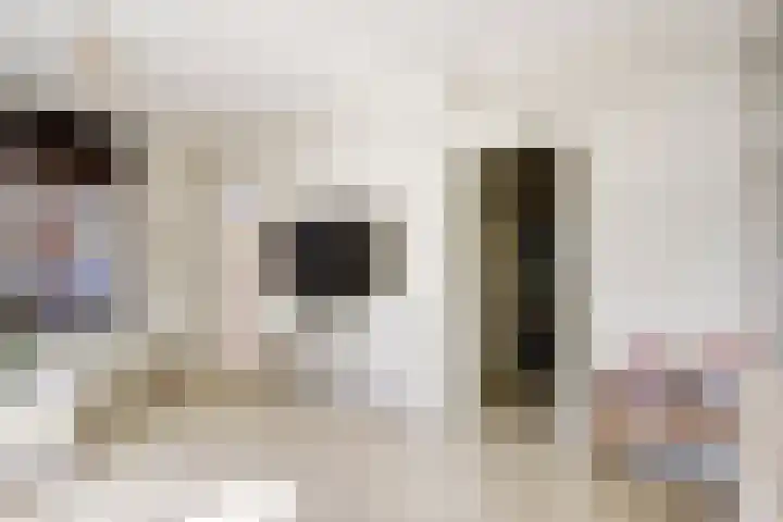 Wilhelminastraat 89 Krommenie thumbnail 14