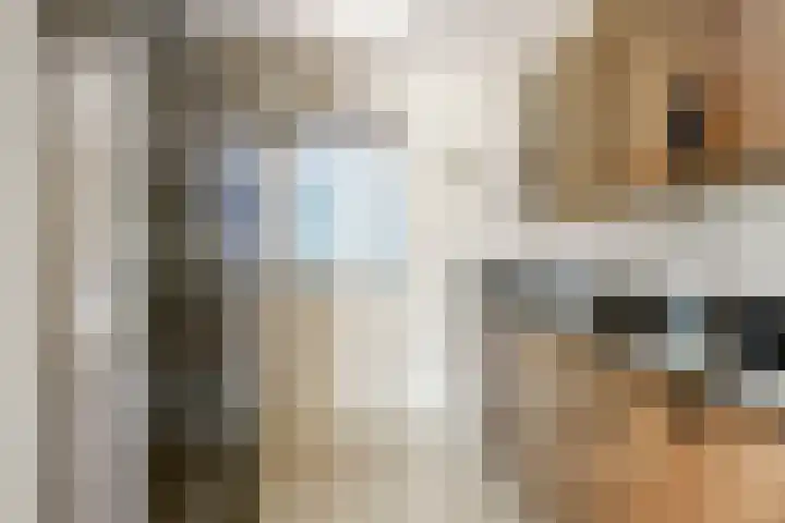 Wilhelminastraat 89 Krommenie thumbnail 16