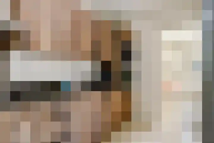 Wilhelminastraat 89 Krommenie thumbnail 18