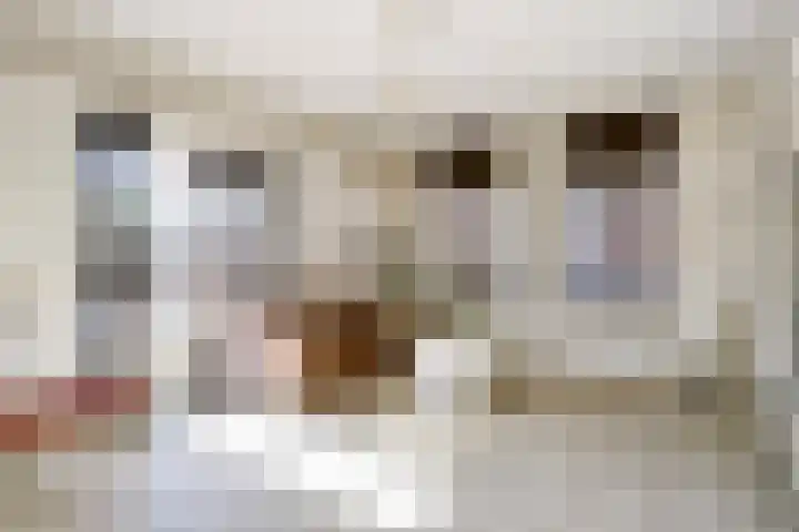 Wilhelminastraat 89 Krommenie foto 2