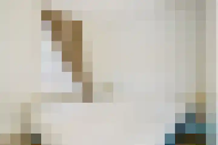 Wilhelminastraat 89 Krommenie thumbnail 25