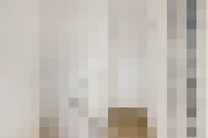 Wilhelminastraat 89 Krommenie thumbnail 26