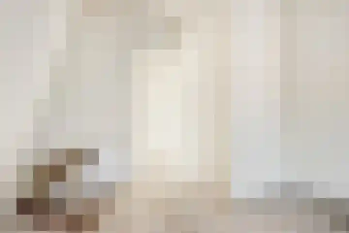 Wilhelminastraat 89 Krommenie thumbnail 28