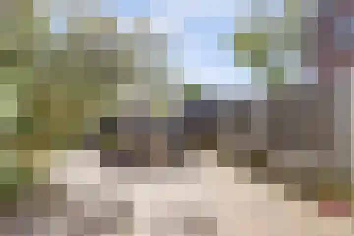 Wilhelminastraat 89 Krommenie thumbnail 36