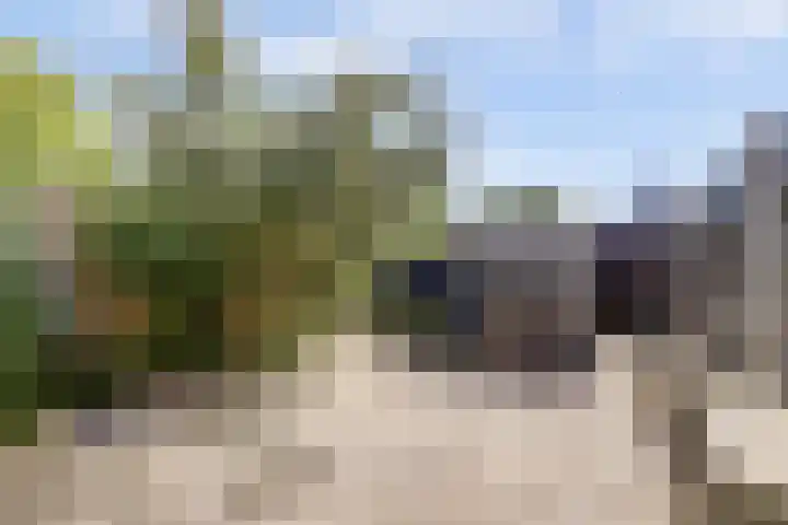 Wilhelminastraat 89 Krommenie thumbnail 37
