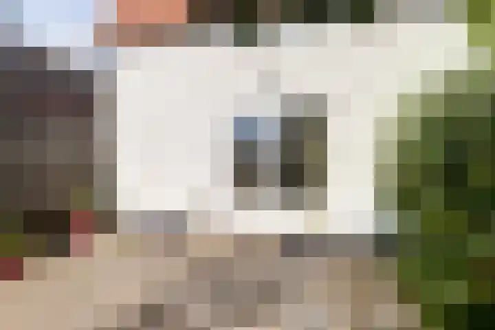 Wilhelminastraat 89 Krommenie thumbnail 38