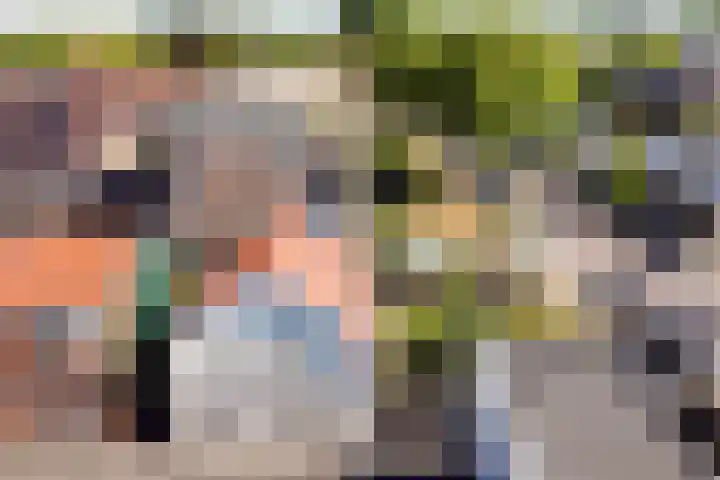Wilhelminastraat 89 Krommenie thumbnail 39