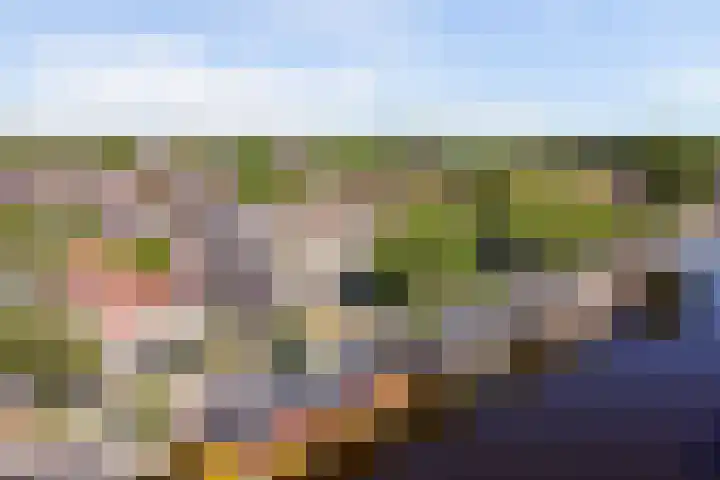 Wilhelminastraat 89 Krommenie thumbnail 41