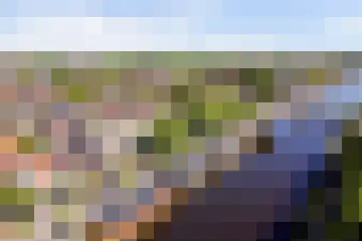 Wilhelminastraat 89 Krommenie thumbnail 42