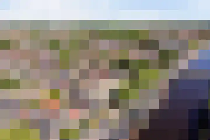Wilhelminastraat 89 Krommenie thumbnail 43