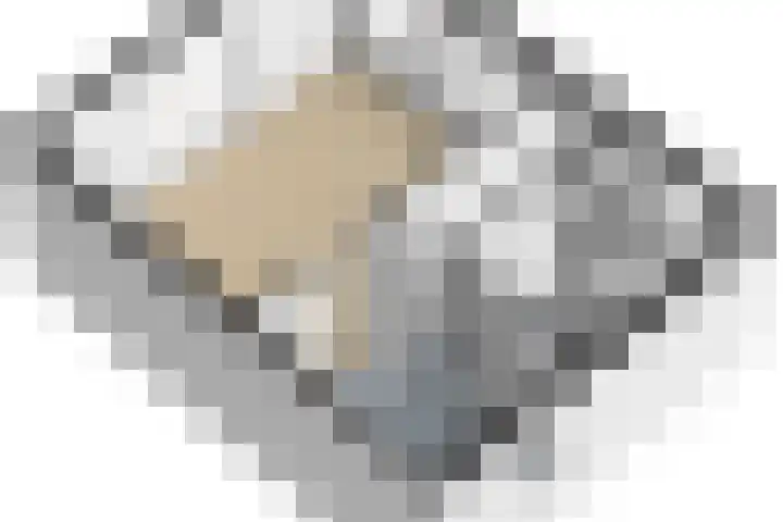 Wilhelminastraat 89 Krommenie thumbnail 46