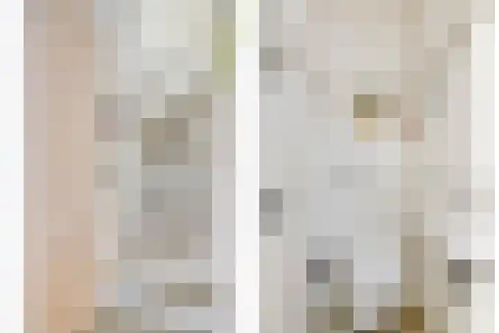 Wilhelminastraat 89 Krommenie thumbnail 9