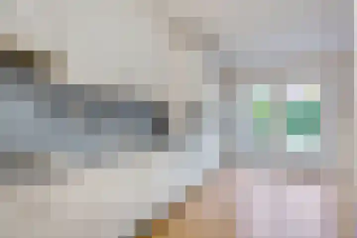 Wilhelminastraat 9 Duiven thumbnail 16