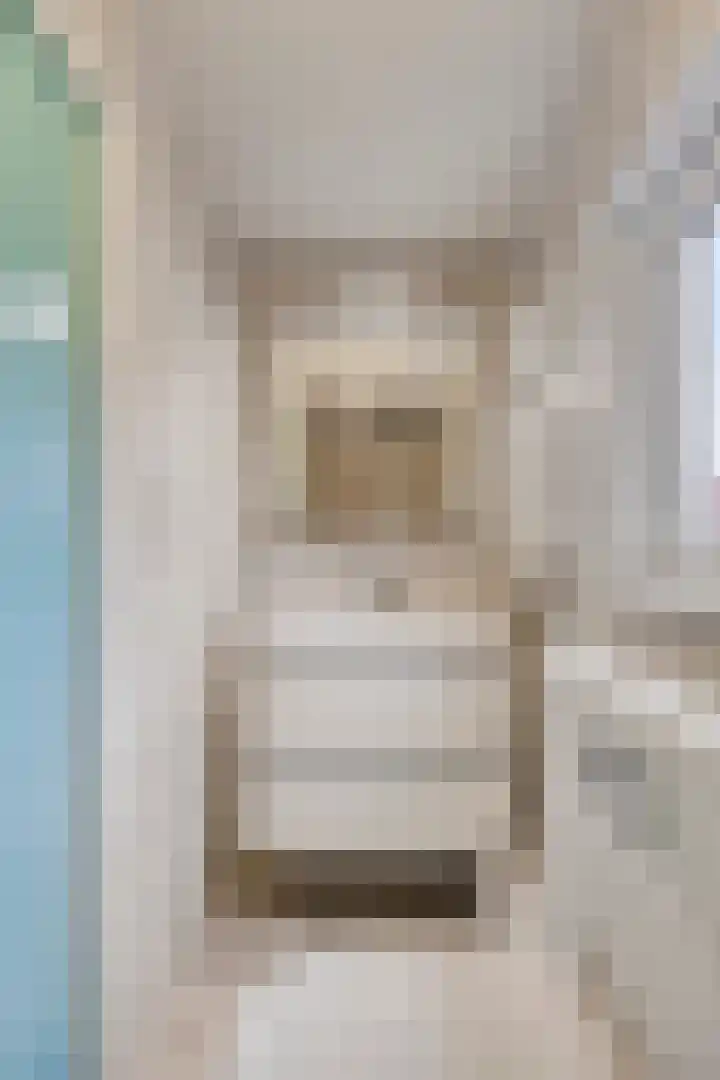 Wilhelminastraat 9 Duiven thumbnail 20
