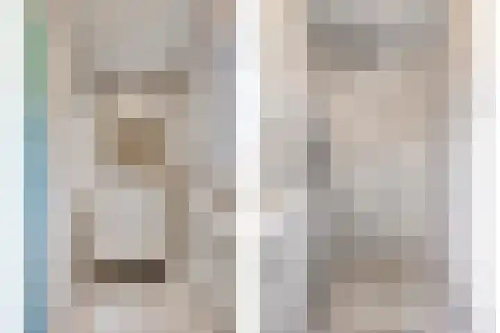 Wilhelminastraat 9 Duiven thumbnail 21