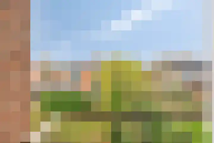 Wilhelminastraat 9 Duiven thumbnail 30