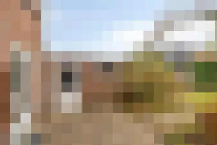 Wilhelminastraat 9 Duiven thumbnail 35
