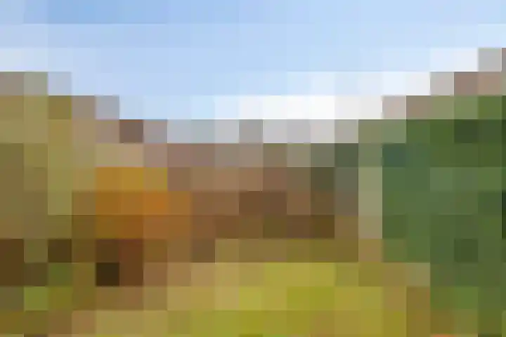 Wilhelminastraat 9 Duiven thumbnail 36